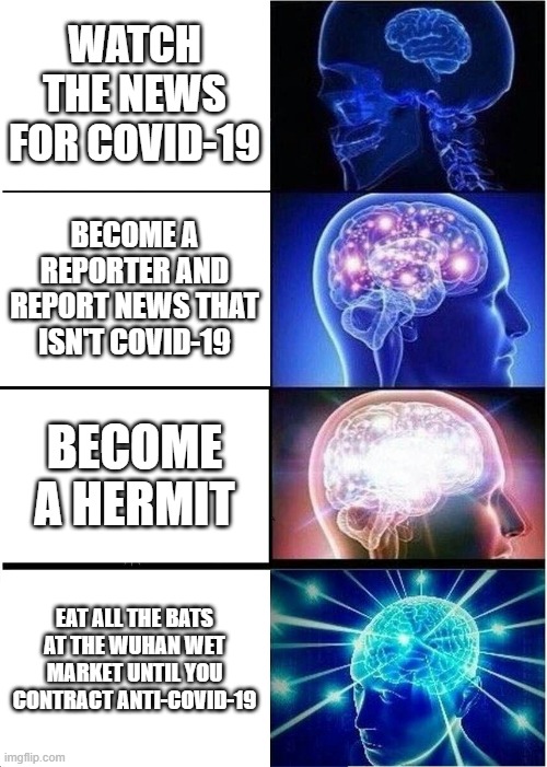 My wuhan bois | WATCH THE NEWS FOR COVID-19; BECOME A REPORTER AND REPORT NEWS THAT ISN'T COVID-19; BECOME A HERMIT; EAT ALL THE BATS AT THE WUHAN WET MARKET UNTIL YOU CONTRACT ANTI-COVID-19 | image tagged in memes,expanding brain | made w/ Imgflip meme maker