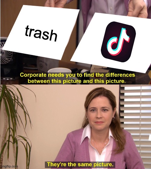 tik tok=garbage | trash | image tagged in memes,they're the same picture | made w/ Imgflip meme maker