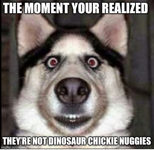Dinosaur chicken nuggets | THE MOMENT YOUR REALIZED; THEY’RE NOT DINOSAUR CHICKIE NUGGIES | image tagged in none | made w/ Imgflip meme maker