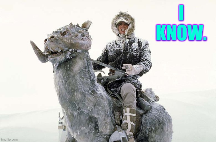 Han Solo hoth snow | I KNOW. | image tagged in han solo hoth snow | made w/ Imgflip meme maker