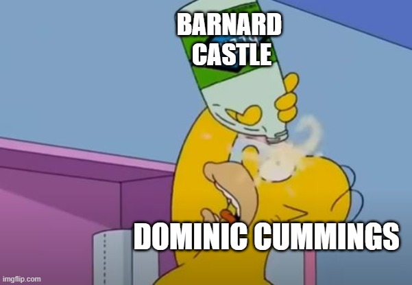 Cummings Bleach | BARNARD 
CASTLE; DOMINIC CUMMINGS | image tagged in cummings,bleach,simpsons,barnard,funny memes | made w/ Imgflip meme maker