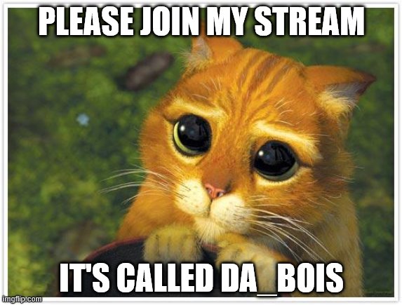 Shrek Cat Meme | PLEASE JOIN MY STREAM; IT'S CALLED DA_BOIS | image tagged in memes,shrek cat | made w/ Imgflip meme maker