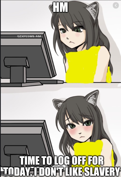cat girl looking at computer | HM TIME TO LOG OFF FOR TODAY, I DON'T LIKE SLAVERY | image tagged in cat girl looking at computer | made w/ Imgflip meme maker