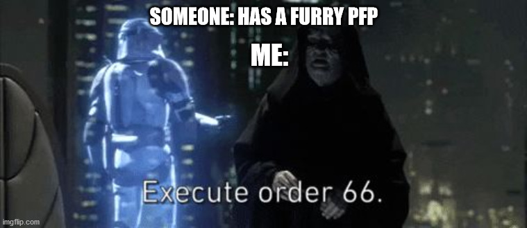 order 66 | SOMEONE: HAS A FURRY PFP; ME: | image tagged in order 66,anti furry | made w/ Imgflip meme maker