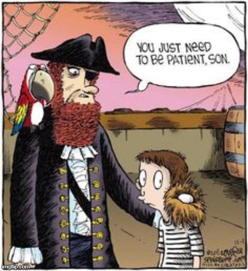 THEN HE WILL BE IT'S MAMMA | image tagged in pirate,pirates,comics/cartoons | made w/ Imgflip meme maker