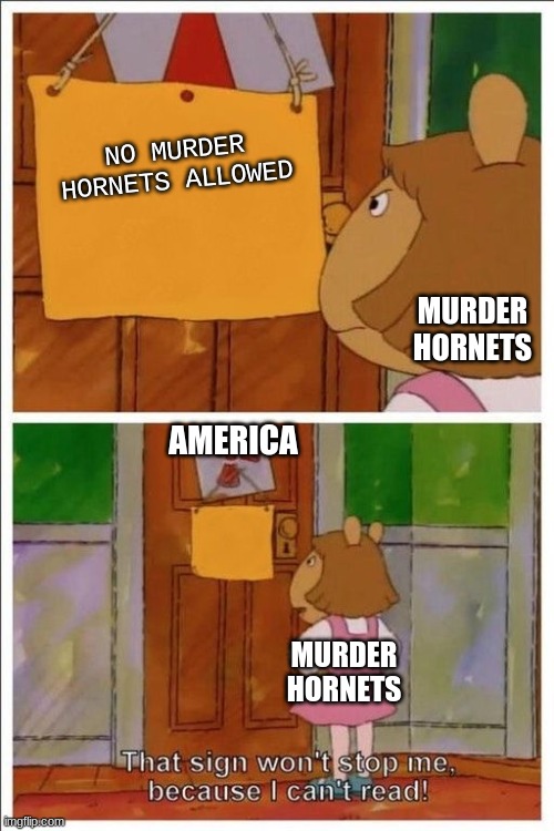 That sign won't stop me! |  NO MURDER HORNETS ALLOWED; MURDER HORNETS; AMERICA; MURDER HORNETS | image tagged in that sign won't stop me,imgflip,memes,funny,murder hornet,america | made w/ Imgflip meme maker