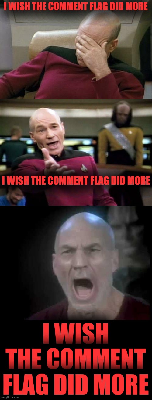 I WISH THE COMMENT FLAG DID MORE I WISH THE COMMENT FLAG DID MORE I WISH THE COMMENT FLAG DID MORE | image tagged in memes,picard wtf,captain picard facepalm,picard four lights | made w/ Imgflip meme maker