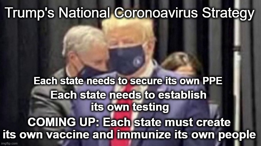 Trump's National Coronavirus Strategy | Trump's National Coronoavirus Strategy; Each state needs to secure its own PPE; Each state needs to establish
 its own testing; COMING UP: Each state must create its own vaccine and immunize its own people | image tagged in trump,coronavirus,testing,vaccine,you can't fix stupid | made w/ Imgflip meme maker
