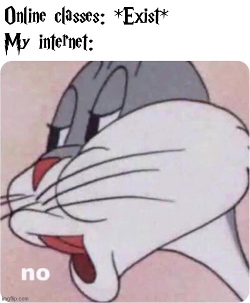 nooooooooooooooooooooooooooooooooooooooooooooooooooooooooooooooooooooooooooooooooooooooooooooooooooooooooooooooooooooooooooooooo | Online classes: *Exist*
My internet: | image tagged in bugs bunny no,online school | made w/ Imgflip meme maker