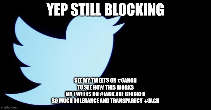 politicke | YEP STILL BLOCKING; SEE MY TWEETS ON #QANON
TO SEE HOW THIS WORKS
MY TWEETS ON #JACK ARE BLOCKED
SO MUCH TOLERANCE AND TRANSPARECY  #JACK | image tagged in political meme | made w/ Imgflip meme maker
