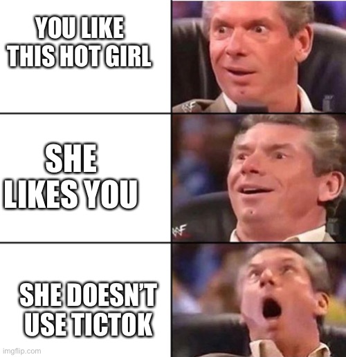 Vince McMahon | YOU LIKE THIS HOT GIRL; SHE LIKES YOU; SHE DOESN’T USE TICTOK | image tagged in vince mcmahon,memes,wwe,middle school | made w/ Imgflip meme maker