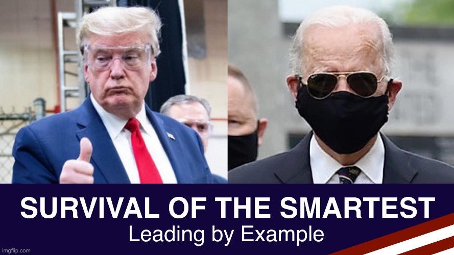 survival of the smartest leading by example | image tagged in survival of the smartest leading by example | made w/ Imgflip meme maker