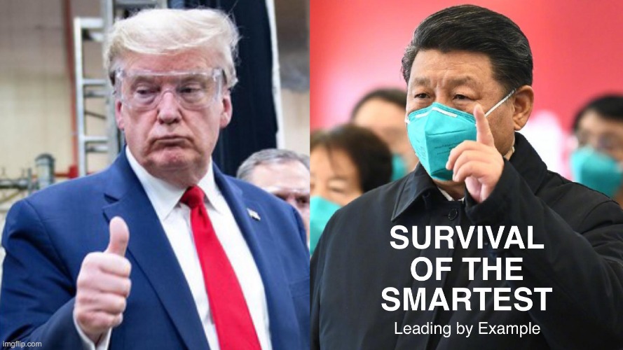 survival of the smartest leading by example | image tagged in survival of the smartest leading by example | made w/ Imgflip meme maker