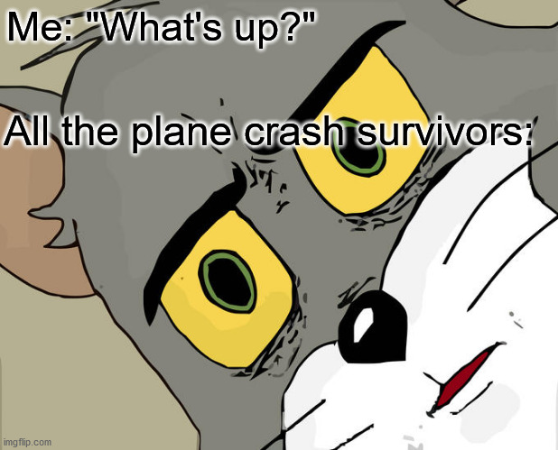 Unsettled Tom Meme | Me: "What's up?" All the plane crash survivors: | image tagged in memes,unsettled tom | made w/ Imgflip meme maker