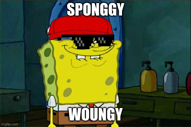 Spongey | SPONGGY; WOUNGY | image tagged in memes,don't you squidward | made w/ Imgflip meme maker
