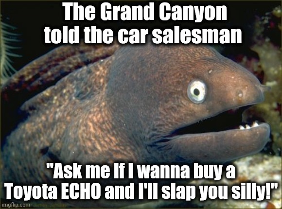 Bad Joke Eel Meme | The Grand Canyon told the car salesman; "Ask me if I wanna buy a Toyota ECHO and I'll slap you silly!" | image tagged in memes,bad joke eel | made w/ Imgflip meme maker