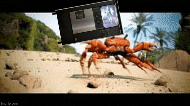 Crab rave gif | image tagged in crab rave gif | made w/ Imgflip meme maker