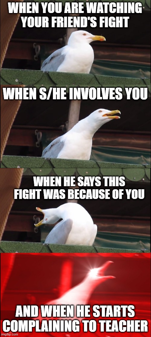 Inhaling Seagull | WHEN YOU ARE WATCHING YOUR FRIEND'S FIGHT; WHEN S/HE INVOLVES YOU; WHEN HE SAYS THIS FIGHT WAS BECAUSE OF YOU; AND WHEN HE STARTS COMPLAINING TO TEACHER | image tagged in memes,inhaling seagull | made w/ Imgflip meme maker