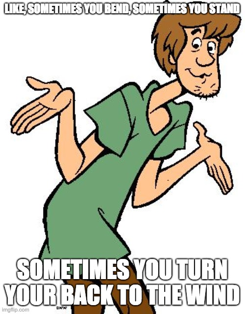 Shaggy from Scooby Doo | LIKE, SOMETIMES YOU BEND, SOMETIMES YOU STAND SOMETIMES YOU TURN YOUR BACK TO THE WIND | image tagged in shaggy from scooby doo | made w/ Imgflip meme maker
