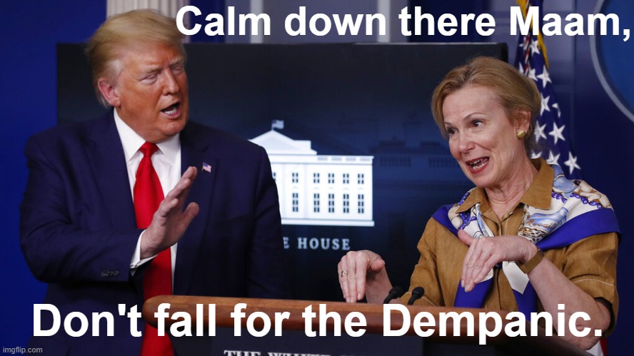 It's a Dempanic, not a pandemic. | Calm down there Maam, Don't fall for the Dempanic. | image tagged in trump,dempanic | made w/ Imgflip meme maker
