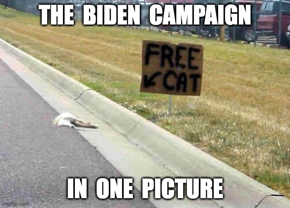 THE  BIDEN  CAMPAIGN; IN  ONE  PICTURE | made w/ Imgflip meme maker