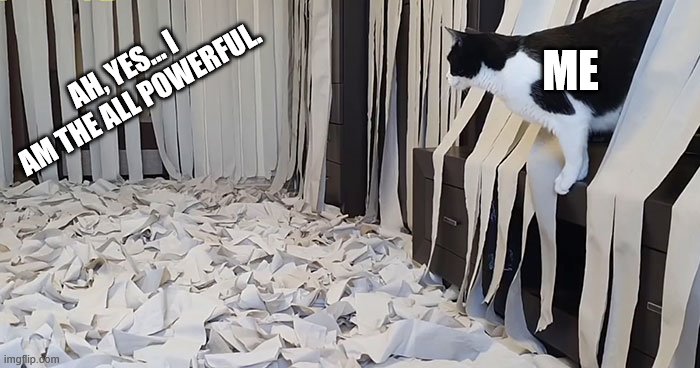 AH, YES... I AM THE ALL POWERFUL. ME | image tagged in too much toilet paper-,cats,pov,toilet paper,aaaaaaaaaaa,dj khaled suffering from success meme | made w/ Imgflip meme maker