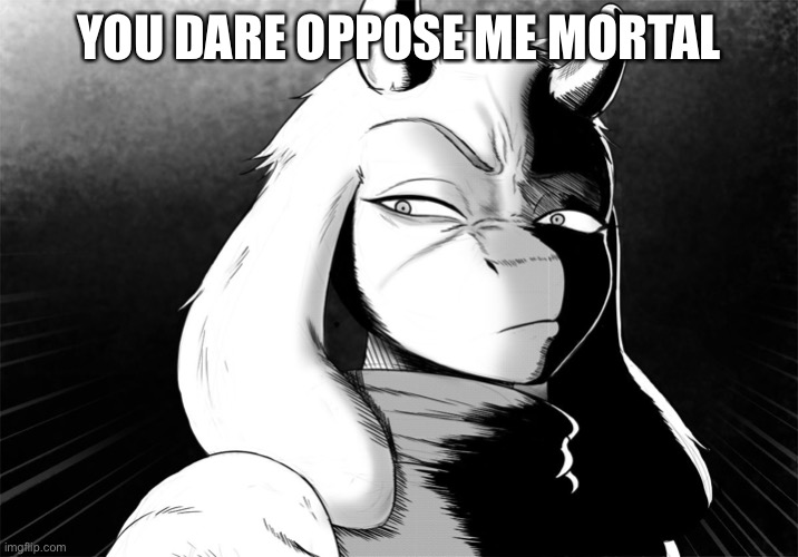 Toriel Death Stare | YOU DARE OPPOSE ME MORTAL | image tagged in toriel death stare | made w/ Imgflip meme maker