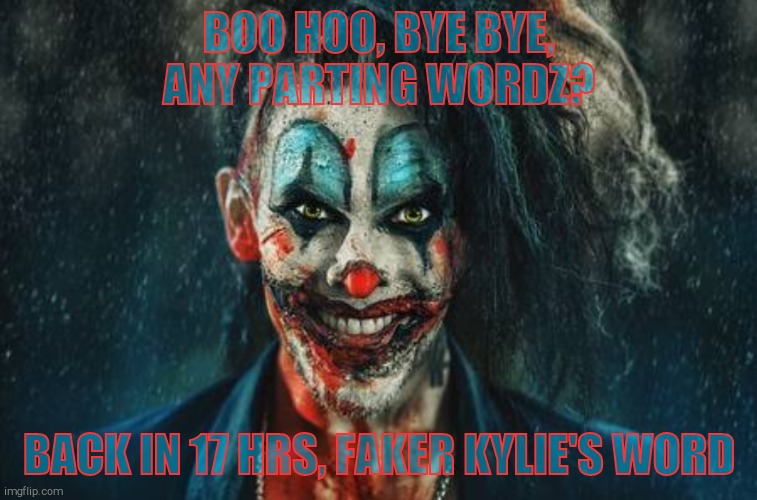 w | BOO HOO, BYE BYE, ANY PARTING WORDZ? BACK IN 17 HRS, FAKER KYLIE'S WORD | made w/ Imgflip meme maker