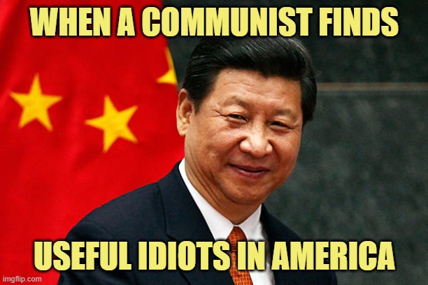 Xi Jinping | WHEN A COMMUNIST FINDS USEFUL IDIOTS IN AMERICA | image tagged in xi jinping | made w/ Imgflip meme maker