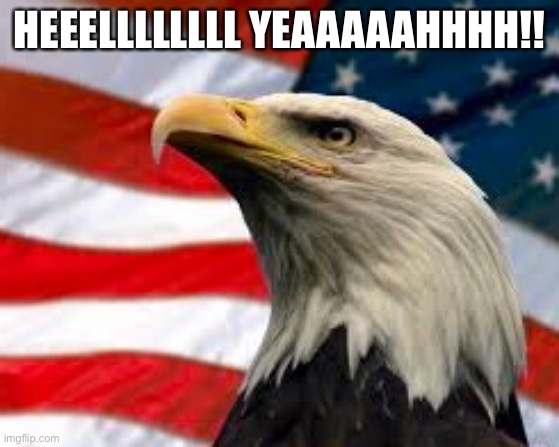 Murica Patriotic Eagle | HEEELLLLLLLL YEAAAAAHHHH!! | image tagged in murica patriotic eagle | made w/ Imgflip meme maker