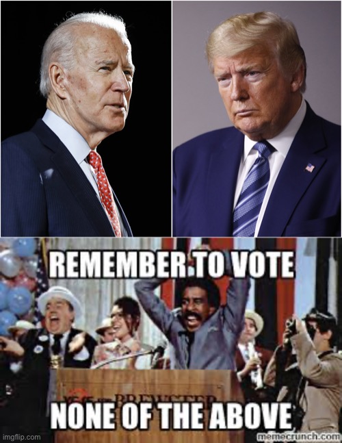 None of the above | image tagged in election | made w/ Imgflip meme maker