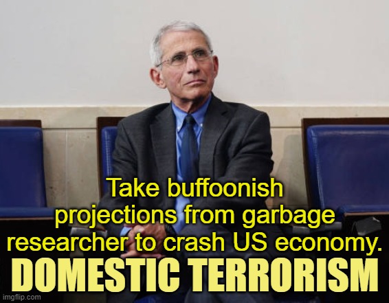 Fauci | Take buffoonish projections from garbage researcher to crash US economy. DOMESTIC TERRORISM | image tagged in fauci | made w/ Imgflip meme maker