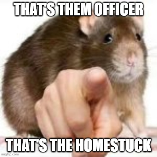 Dam | THAT'S THEM OFFICER; THAT'S THE HOMESTUCK | image tagged in homestuck | made w/ Imgflip meme maker