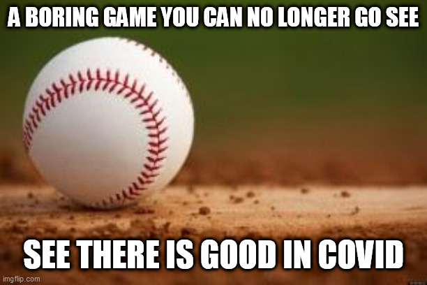 Baseball | A BORING GAME YOU CAN NO LONGER GO SEE; SEE THERE IS GOOD IN COVID | image tagged in baseball | made w/ Imgflip meme maker