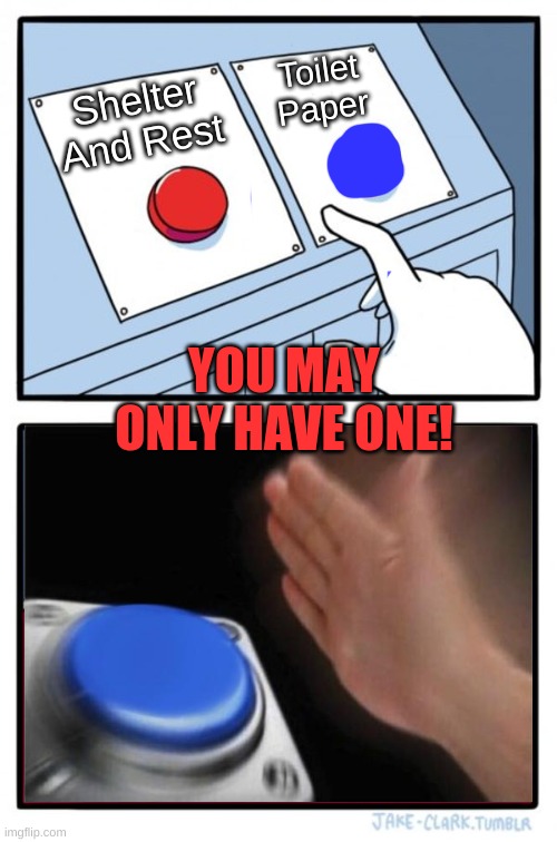 Two Buttons Meme | Toilet Paper; Shelter And Rest; YOU MAY ONLY HAVE ONE! | image tagged in memes,two buttons | made w/ Imgflip meme maker