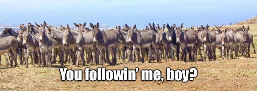 You followin’ me, boy? | made w/ Imgflip meme maker