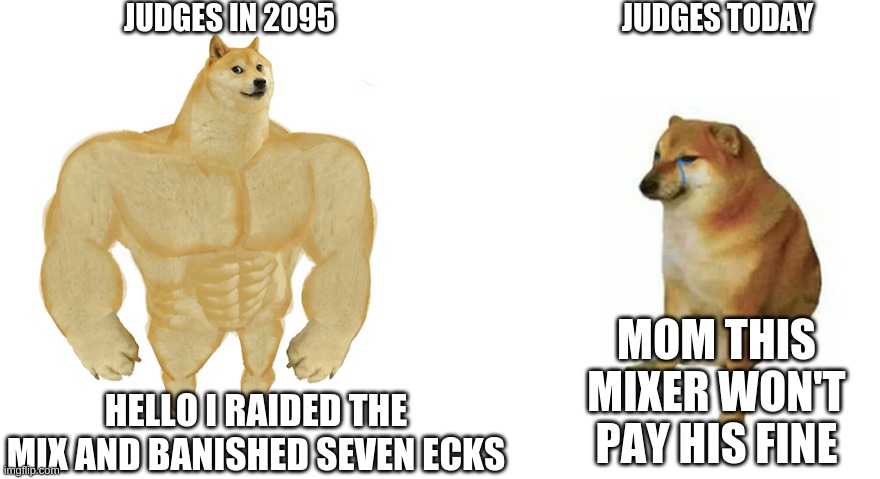 Swole doge vs. Crying doge | JUDGES IN 2095; JUDGES TODAY; MOM THIS MIXER WON'T PAY HIS FINE; HELLO I RAIDED THE MIX AND BANISHED SEVEN ECKS | image tagged in swole doge vs crying doge | made w/ Imgflip meme maker