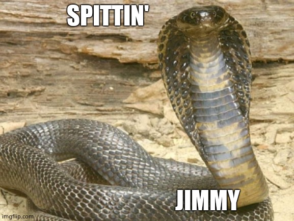 King Cobra | SPITTIN' JIMMY | image tagged in king cobra | made w/ Imgflip meme maker