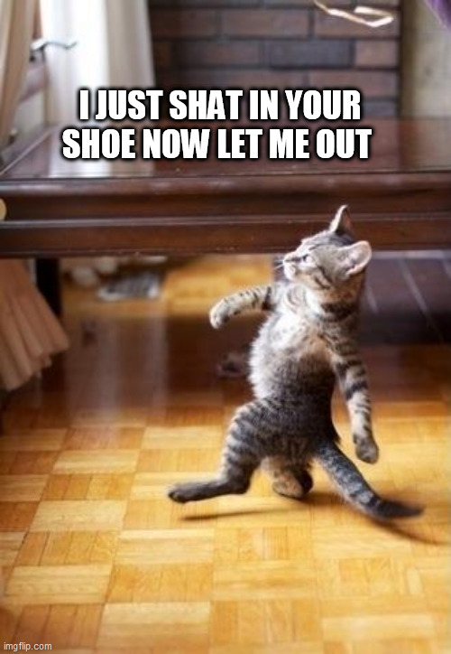 Cool Cat Stroll Meme | I JUST SHAT IN YOUR SHOE NOW LET ME OUT | image tagged in memes,cool cat stroll | made w/ Imgflip meme maker