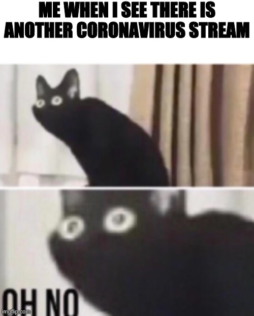 Oh no cat | ME WHEN I SEE THERE IS ANOTHER CORONAVIRUS STREAM | image tagged in oh no cat | made w/ Imgflip meme maker