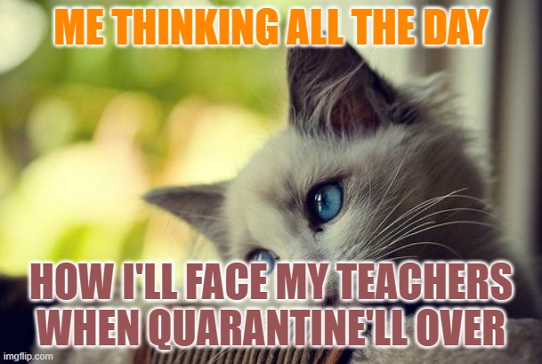 First World Problems Cat Meme | ME THINKING ALL THE DAY; HOW I'LL FACE MY TEACHERS WHEN QUARANTINE'LL OVER | image tagged in memes,first world problems cat | made w/ Imgflip meme maker