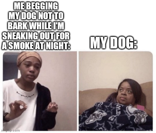 Me explaining why | ME BEGGING MY DOG NOT TO BARK WHILE I'M SNEAKING OUT FOR A SMOKE AT NIGHT:; MY DOG: | image tagged in me explaining why | made w/ Imgflip meme maker