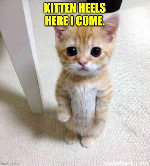 Cute Cat Meme | KITTEN HEELS HERE I COME. | image tagged in memes,cute cat | made w/ Imgflip meme maker