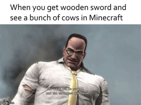 minecraft | image tagged in minecrafter | made w/ Imgflip meme maker