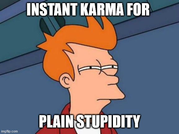 Futurama Fry Meme | INSTANT KARMA FOR PLAIN STUPIDITY | image tagged in memes,futurama fry | made w/ Imgflip meme maker