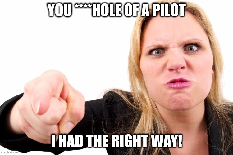 Offended woman | YOU ****HOLE OF A PILOT I HAD THE RIGHT WAY! | image tagged in offended woman | made w/ Imgflip meme maker