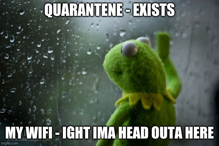 Life is Like That | QUARANTENE - EXISTS; MY WIFI - IGHT IMA HEAD OUTA HERE | image tagged in kermit window | made w/ Imgflip meme maker