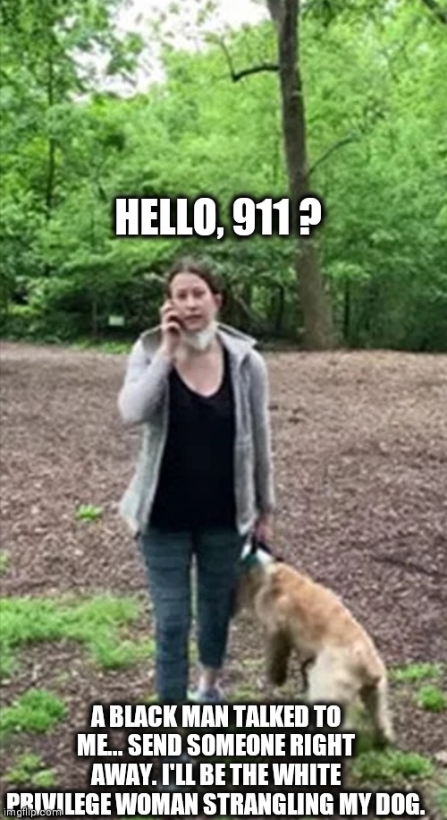 Central Park Karen | HELLO, 911 ? A BLACK MAN TALKED TO ME... SEND SOMEONE RIGHT AWAY. I'LL BE THE WHITE PRIVILEGE WOMAN STRANGLING MY DOG. | image tagged in central park karen | made w/ Imgflip meme maker