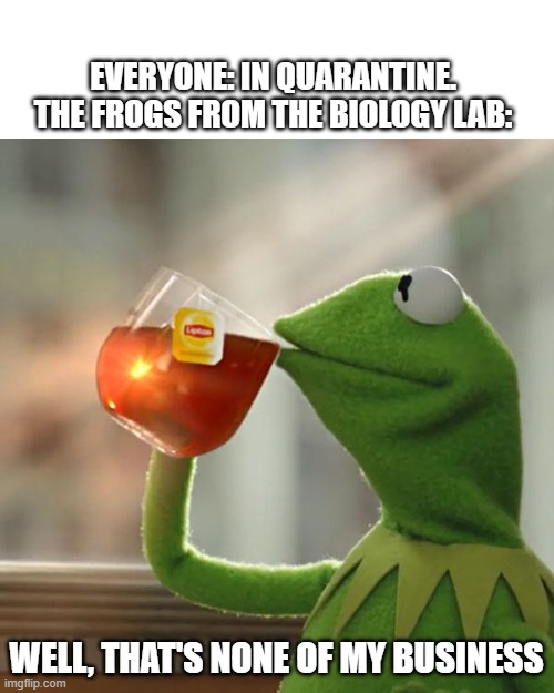 But That's None Of My Business Meme | EVERYONE: IN QUARANTINE.
THE FROGS FROM THE BIOLOGY LAB:; WELL, THAT'S NONE OF MY BUSINESS | image tagged in memes,but that's none of my business,kermit the frog | made w/ Imgflip meme maker