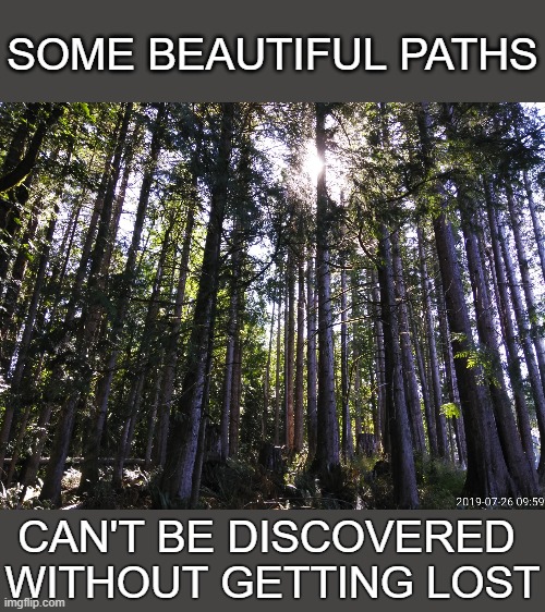 woods | SOME BEAUTIFUL PATHS; CAN'T BE DISCOVERED 
WITHOUT GETTING LOST | image tagged in woods | made w/ Imgflip meme maker
